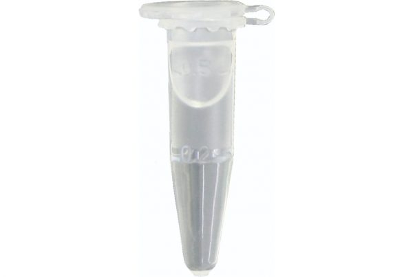 菊門覚醒カプセル - 画像 (3)