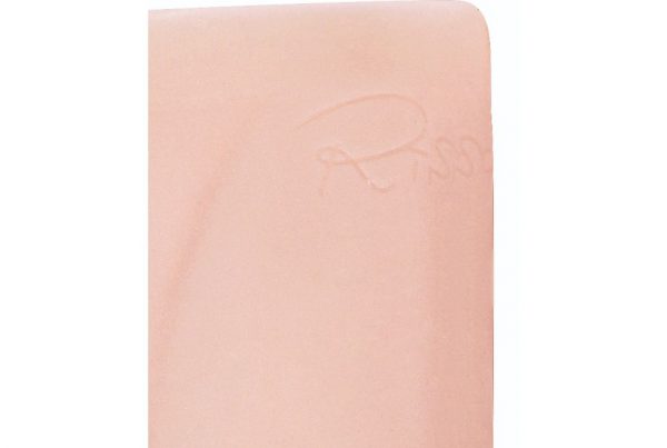 天使爛漫 望月りさ - 画像 (9)