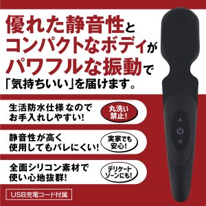 PlesureLab　デンマ