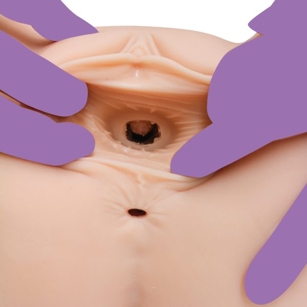 女友達をメスにする DXメスダチマジ肌ボディホール～ヤリ部屋で濃厚巣ごもり交尾～里中サツキVer - 画像 (14)