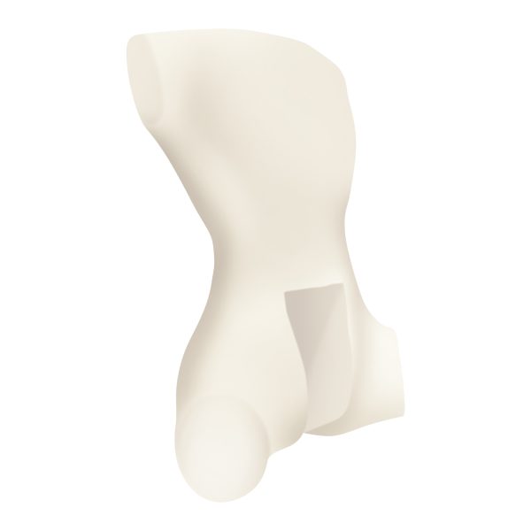 女友達をメスにする DXメスダチマジ肌ボディホール～ヤリ部屋で濃厚巣ごもり交尾～里中サツキVer - 画像 (13)